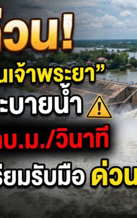 ด่วนระอุ! เขื่อนเจ้าพระยาประกาศเพิ่มระบายน้ำพุ่ง 2,500 ลบ.ม./วินาที เที่ยงนี้! ปลายน้ำตั้งรับวิกฤตด่วน