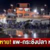 สูญเสียนับล้าน แพ-กระชังปลา หลุด
