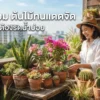 รวม ต้นไม้ทนแดดจัด ไม่ต้องรดน้ำบ่อย